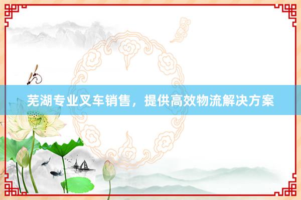 芜湖专业叉车销售，提供高效物流解决方案